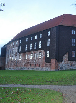 Koldinghus Kæmpetårn referenceprojekt linjedræn