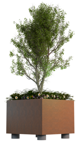 Plante- og trækasse fuldt billede