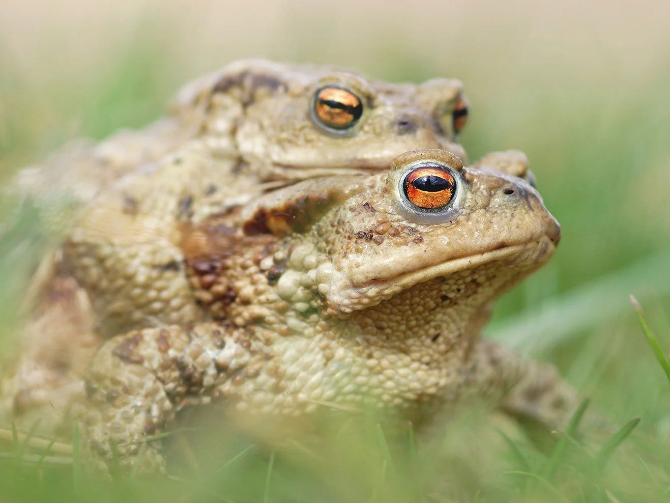 World Nature Conservation Day